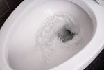 toilet-bowl.2011091643360.jpg