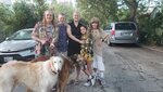 Rae.group.dogs.jpg