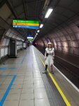 subway.jpeg