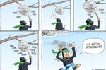 IMG_7108.jpeg