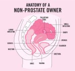 Non-Prostate Owner.jpg