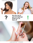split hairs.png