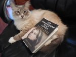 CAT.LosFelix.jpg