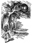1590348514330.png