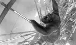 Gorilla Goals.webp