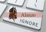 Alanzo (3).jpg
